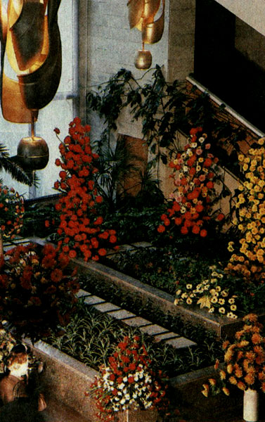 �������� �������������� �������� ������� � 35