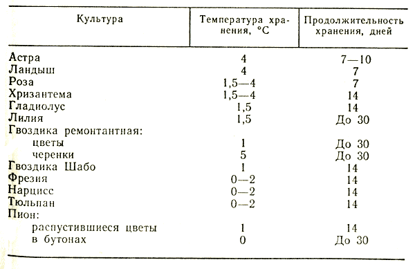  5.       