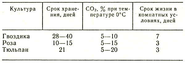  11.         