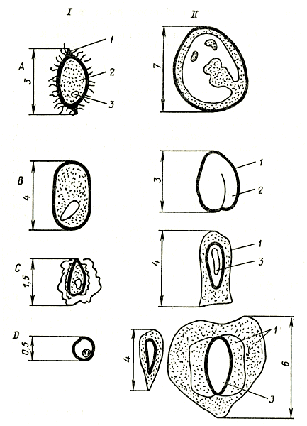 . 17.    - : 1  ; 2  ; 3  .    