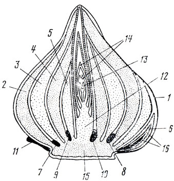 . 1.        ( ) 1   ; 25   ; 6         ; 7   D       ; 8          ; 9          ; 10     ; 11     : 12      ; 13   ; 14    ; 15   ; 16     