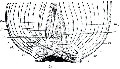 . 27.       ( )   ,       ;       ; ><sub></sub>   ; <sub> </sub>    ; <sub>1</sub>      ; <sub>2</sub>     ; <sub></sub>    ;    ;    ;     () 