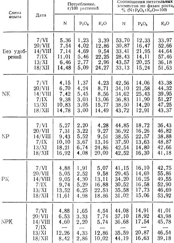  4.      Red Sim
