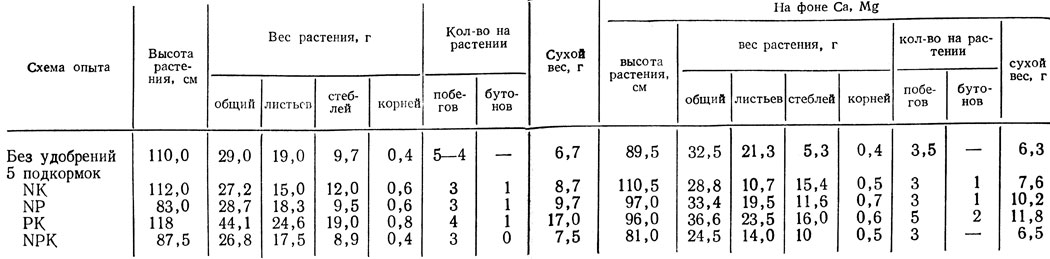  19.         Red Sim 2-   (  16/IV)