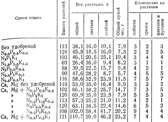  25.           2-   ( 18/VII)