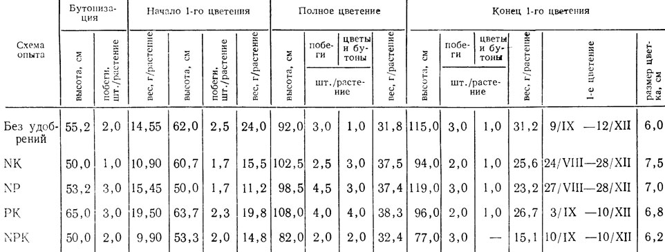  8.         Red Sim (  )