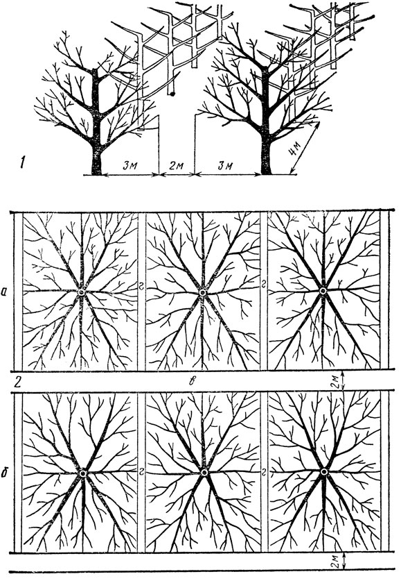 . 44. -  : 1   ; 2       -   ( ):        ,        ,      (22,5 ),         (0,50,6 )