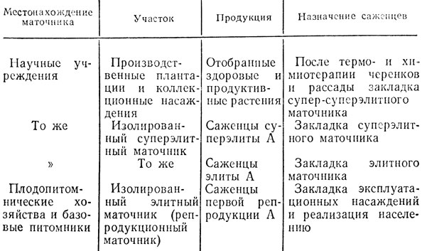  19.           