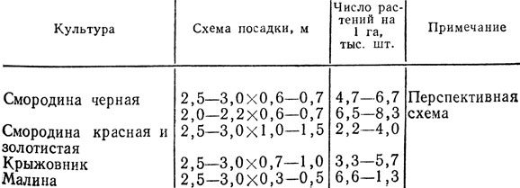 25.        