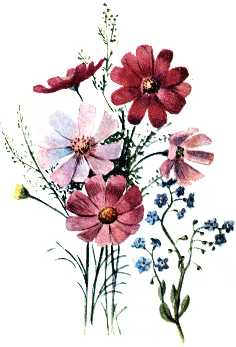 1 - , 2 - 