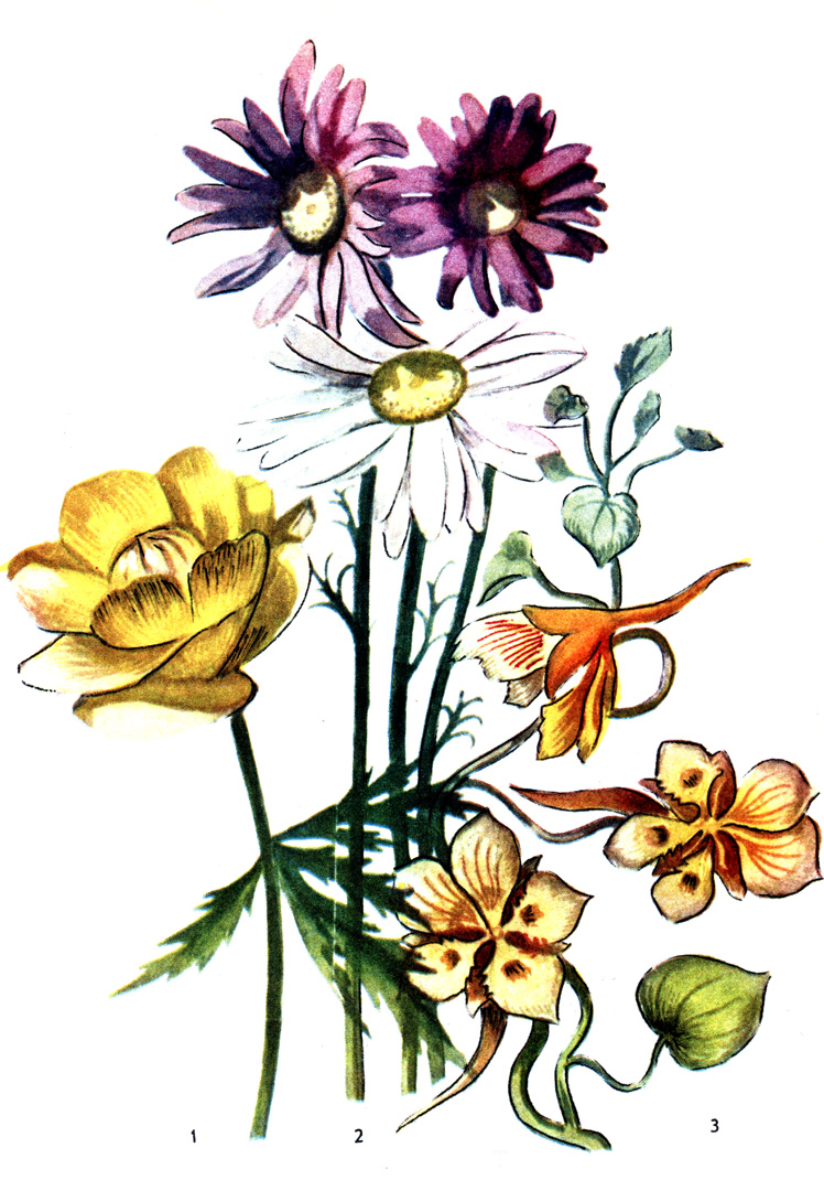 1 -  , 2 - , 3 - 