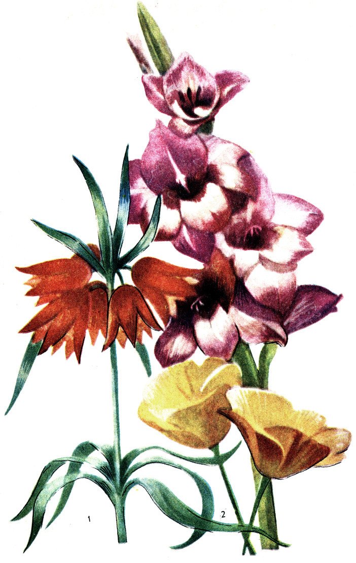 1 -  , 2 - , 3 - 