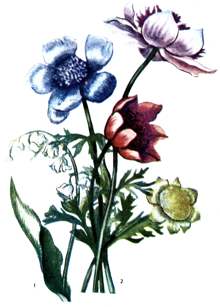 1 - , 2 - 