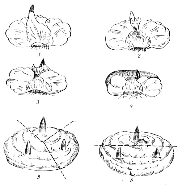 . 13.  : 1   ; 2  ; 3  ; 4   (    ); 56     