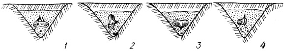 . 14.    : 1  ; 2   90  ; 3   ; 4 - 