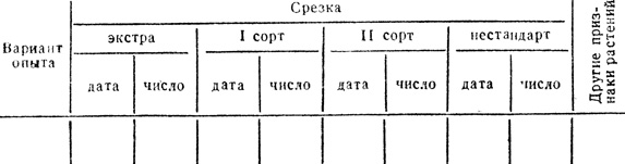  11.       