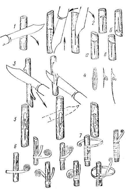 . 31.  : 1    ; 2   :   -;   ,   ; 3     ; 4   (     ); 5   ; f     (  ); 7     (   )