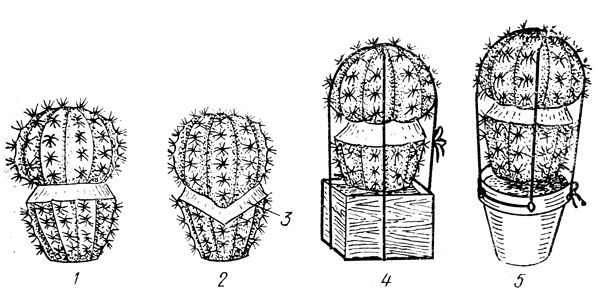 . 34.  : 1   ; 2  ; 3    46 ,    45; 4            ; 5   ,        