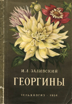 Заливскай И. Л. - 'Георгины'