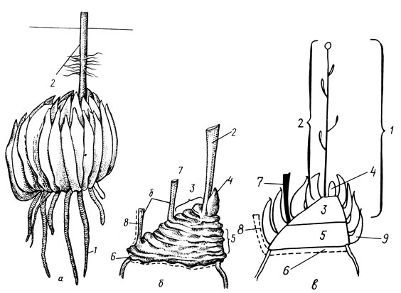 . 2.       . :     ;       ;  -   (); 1 -     (1987 .); 2     ; 3      ; 4    1988 .; 5       (1986 .); 6      1985 .; 7      1986 .; 8      1985 .; 9   