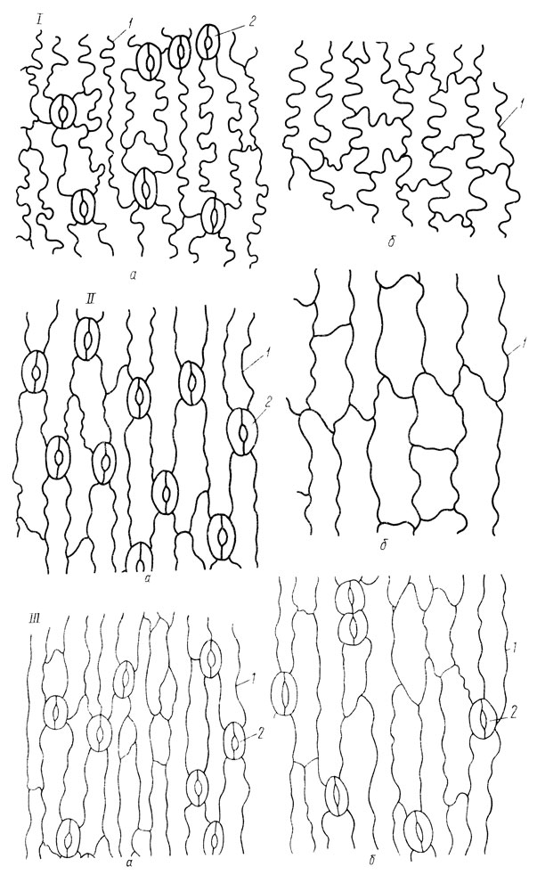 . 6.   :   ,   ; I  .  (1- ); II  .  (2- ); III  .  (3- ); 1    ; 2  