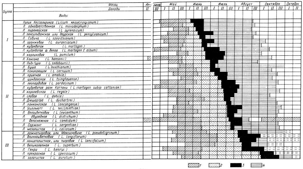 . 19.    : 1   ; 2  ; 3  ; 4    
