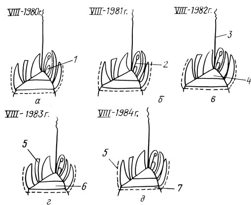 . 21.         ( VIII 1980 .  VIII 1984 .)  .  ():  -    (1);          (2);    :  (3)   (4)     ;  -      : 5      ; 6      ;          (7)
