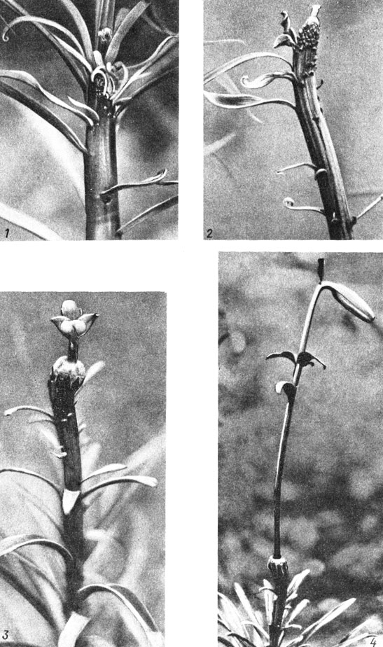 . 22.    .    ,     : 1       ; 2    ; 3       ; 4    