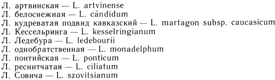 Виды лилий Кавказа и Малой Азии